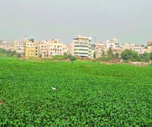 Road and water woes haunt Hyderabad city locals